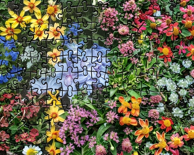 A picture of a flower garden with big jigsaw pieces defined but 5 jigsaw pieces missing and denote those missing pieces in white and have these missing pieces spread out evenly