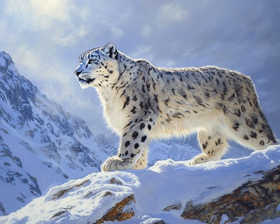 an oil painting of a snow leopard on a snowy mountain ultra realistic extra wide with enhanced colors 
