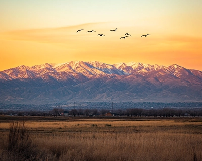 The mountains of salt lake city with a sunset in the background and a few birds in the far distance