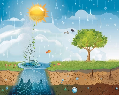 water cycle condensation process