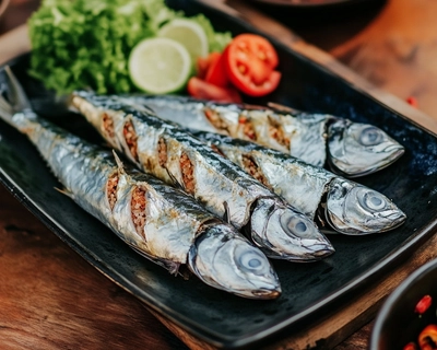 puzzle ikan tuna anak tk