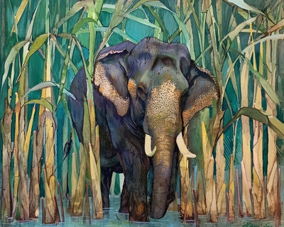 elephant if looking for sugarcane