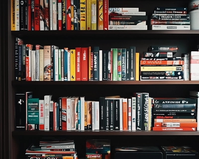Make a graphic of a bookshelf with the following book titles. The book titles should show clearly. 
Ferrari Strategies and Other Mysteries
El Plan
Yuki’s Big Book of Rage
Lando, Memes, and Podium Dreams
Toto Wolff’s Motivation Manual
Gridlock: Surviving Monaco
Life Begins at Turn One
The Art of Defensive Driving
Slipstream to Success
Downforce and Other Life Lessons