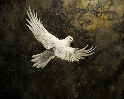 colombe